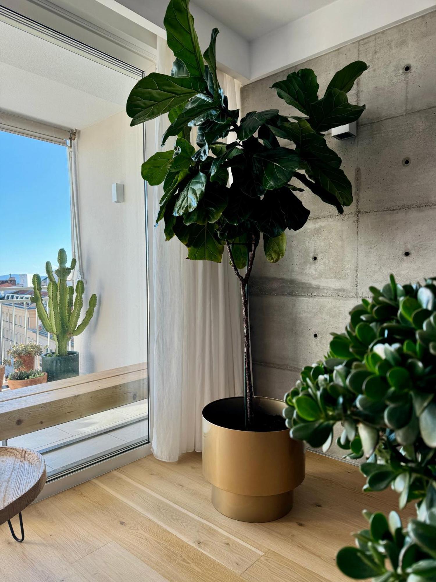 דירות ספליט D'Art Penthouse מראה חיצוני תמונה